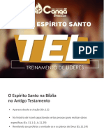 O Espírito Santo na Bíblia e seu Fruto