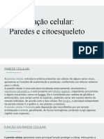Sustentação Celular - Paredes e Citoesqueleto