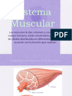 Sistema muscular: músculos de la cabeza y el cuello