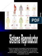 14.sistema Reproductor