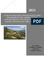 Informe Final Del PMA COLPAS