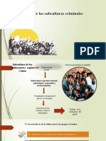 Fenomeno Phi y Teoria de La Imputacion Objetiva Complemento