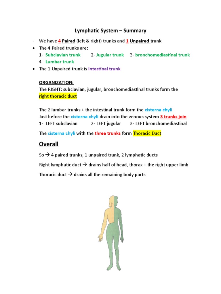 Surprisingly Simple Lymphatic System Label Learn - qa4kn7n