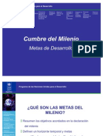 Metas Del Milenio