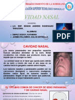 cavidad nasal ppt