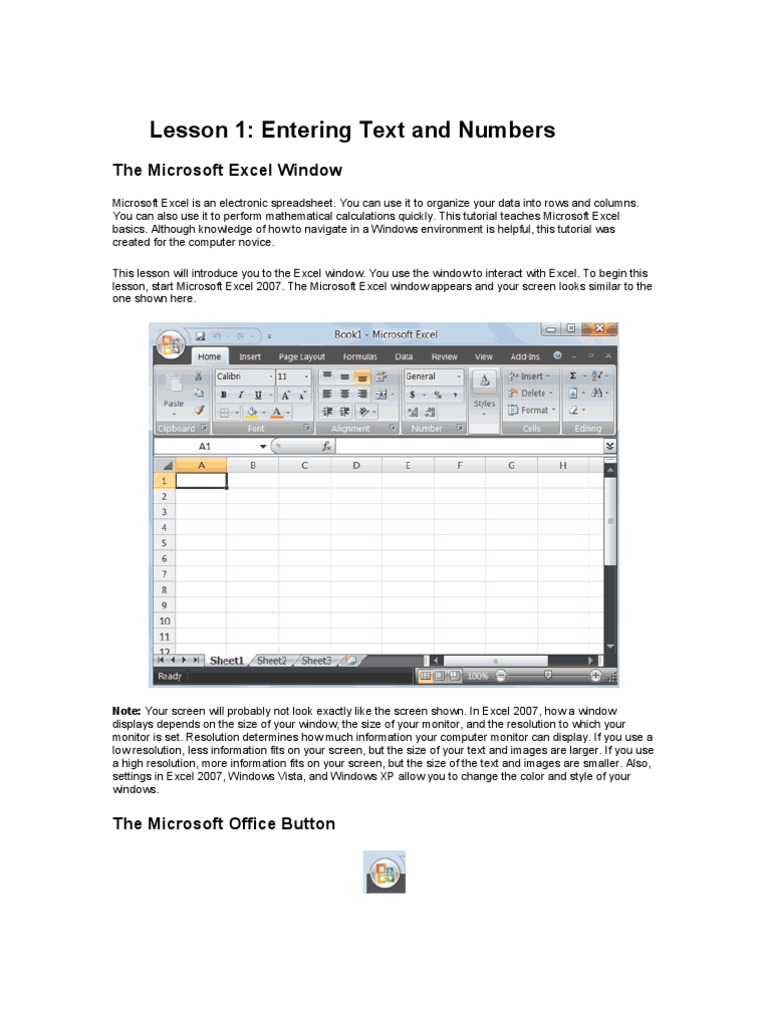 Lesson 1: Entering Text and Numbers: The Microsoft Excel Window | PDF ...
