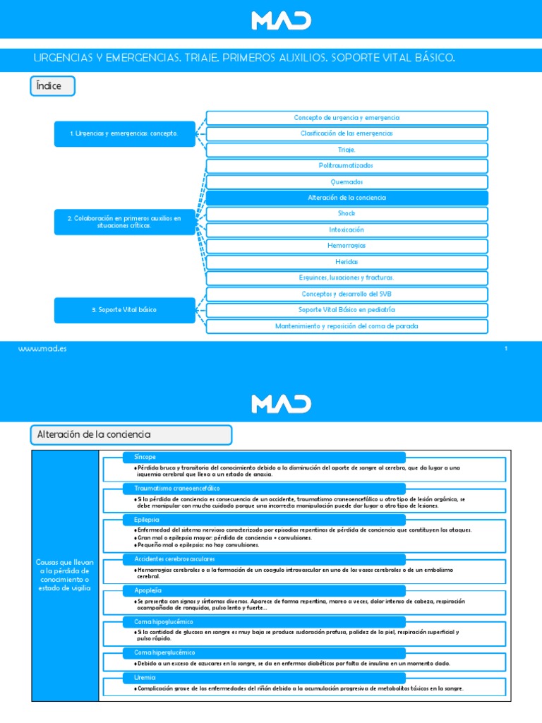 Kit De Cinta De Triaje Y Cinturón, Suministros De Primeros Auxilios Al Aire Libre (negro: Fallecido, Rojo: Inmediato, Amarillo: Retardado, Verde: Menor