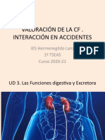 Ud 3 Las Funciones Digestiva y Excretora