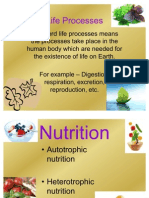 Life processes and human nutrition