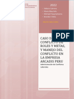 Caso de Conflicto de Roles, Impacto y Manejo Del Conflicto en La Empresa Arcadis Peru Sac