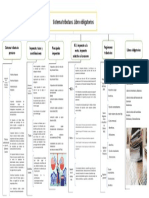 Organizador Visual-Derecho