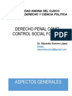 Derecho Penal y Control Social