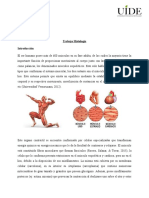 Trabajo Histología Músculo