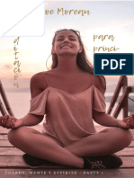 Meditacion para Principiantes - Sofia Fernandez