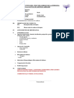 MODELO DE INFORME PROYECTIVO - DEL - TDPBLL