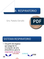 S. Respiratorio 
