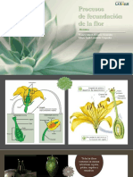 Ciclo Flor y Pteridophytos - Herrera y Londoño