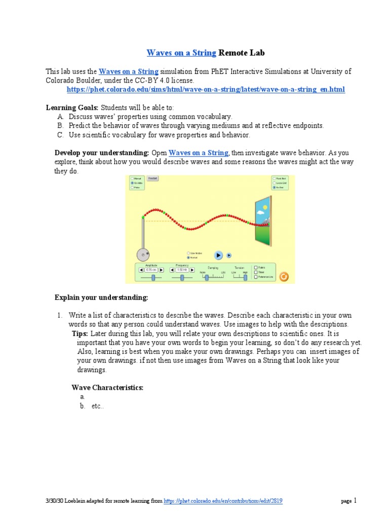Waves On A String Remote Lab | PDF | Waves | Amplitude