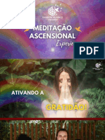 AULA 02 - Meditação Ascensional Experience