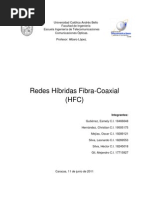 Download HFC by Maoly Bustamante SN59378588 doc pdf