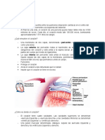 Apuntes Corazón Fisio I2