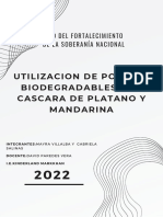 Popotes biodegradables de cascara de fruta