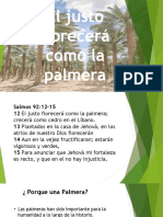 El Justo Florecera Como La Palmera