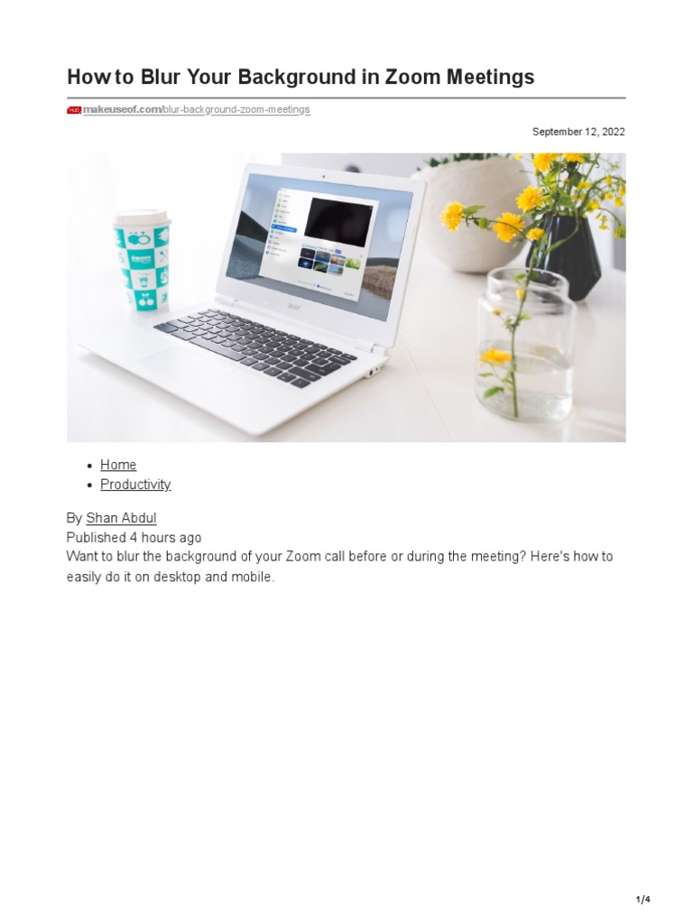 How To Blur Your Background in Zoom Meetings PDF Ios Mobile App