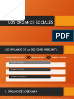 LOS ÓRGANOS SOCIALES - Clase5
