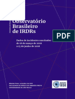 Relatório Observatório IRDR USP Ribeirão-Preto