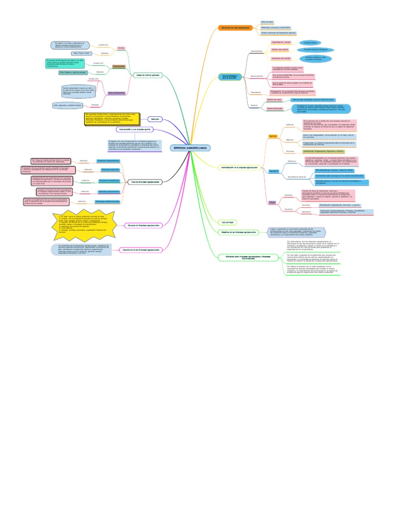 Mapa Mental de Empresa Agropecuaria | PDF | Business | Agricultura