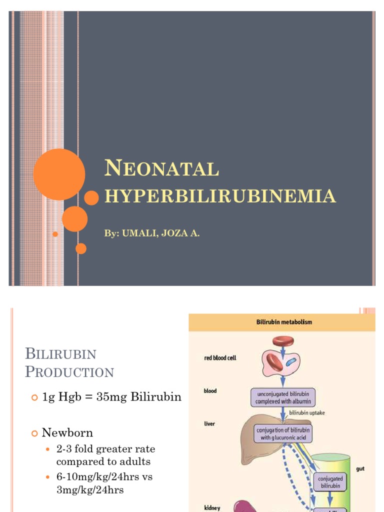 Neonatal Hyperbilirubinemia PDF Medical Specialties Clinical Medicine