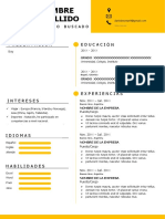 85 Curriculum Vitae Espanol