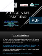 Ecografia Del Pancreas