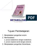 Metabolisme 21