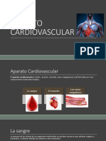 Cardiovascular