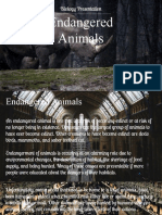 Endangered Animals - Biology Presentation