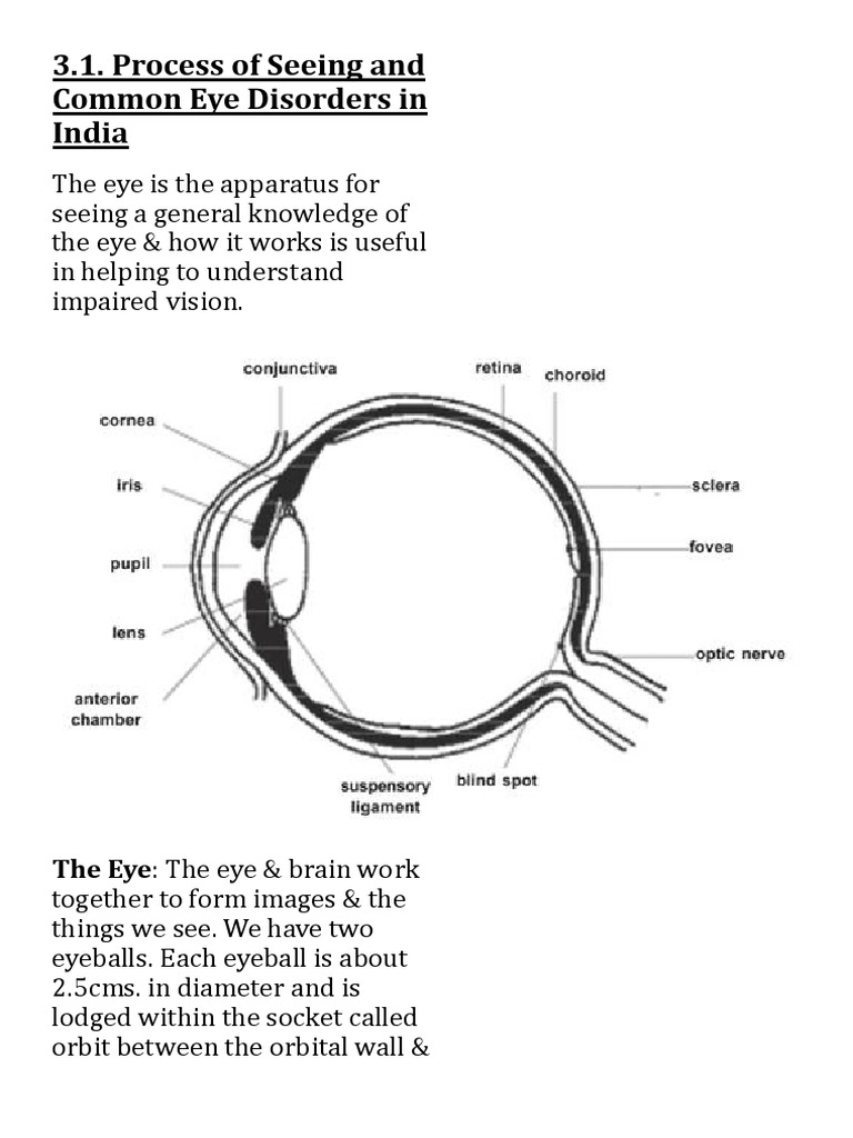Visual Impairment PDF Human Eye Visual Impairment