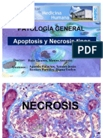 Apoptosis y Necrosis Tipos - Ok