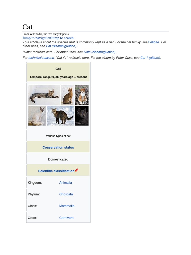 Jump To Navigationjump To Search: Cat (Disambiguation) Cats ...