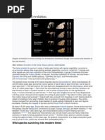 Taxonomy and Evolution