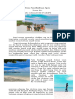 ESSAI BIOLOGI Pesona Pantai Bandengan Jepara