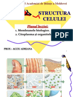 Vdocuments - MX - Structura Celulei 5685270b7abde11