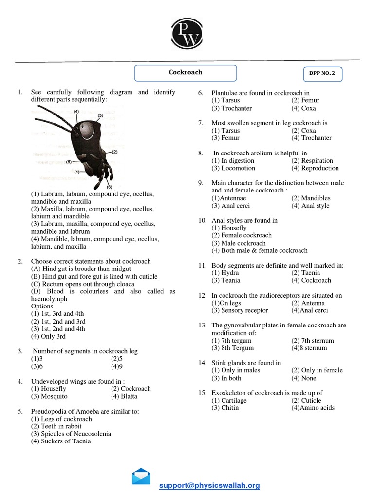 NEET Cockroach Excretion & Anatomy Guide | PDF | Excretion | Animal ...