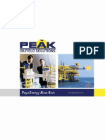 PEAK Energy Services Company Profile