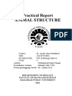Praktikum Struktur Hewan