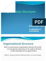 International Structure in MNC'S - Nitin KR Lohia