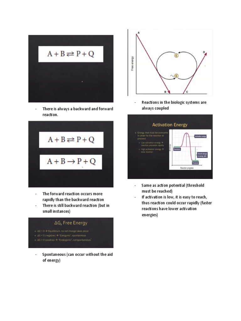 Enzymes Biochem PDF Enzyme Product (Chemistry)