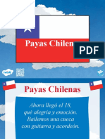 CL DF 1660048721 PPT Payas Chilenas Ver 2