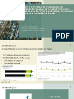 Análise Ergonômica Do Trabalho em Escritórios